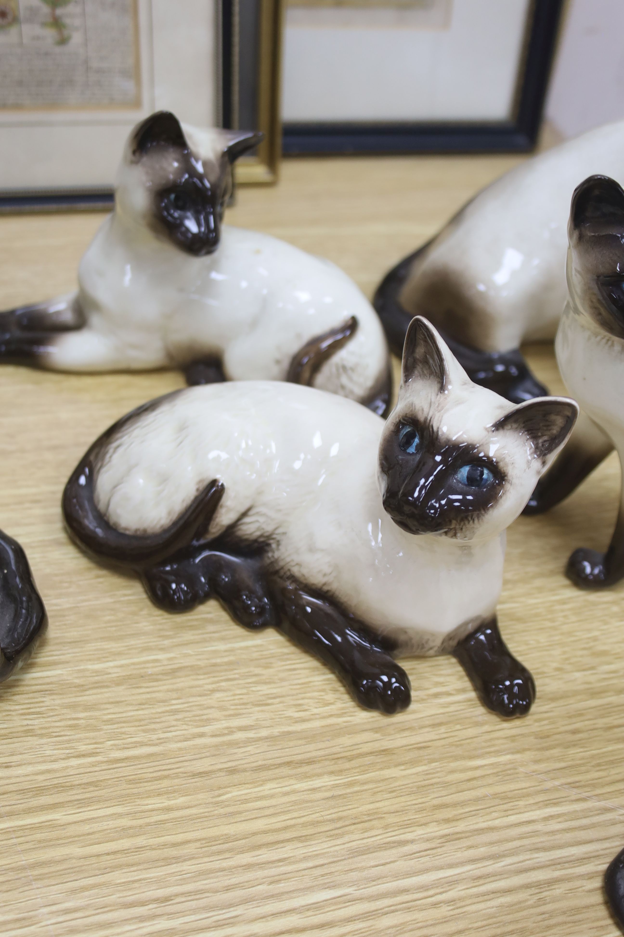 Twelve Beswick cats including Siamese